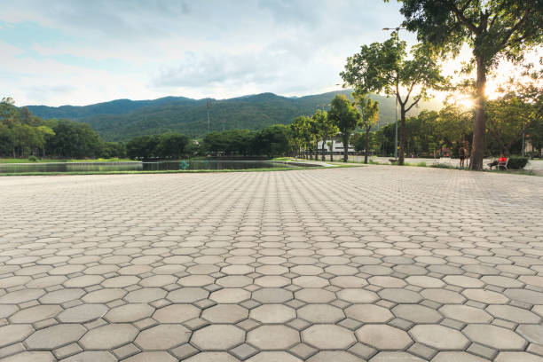 Best Custom Driveway Pavers  in Frenchtown, MT