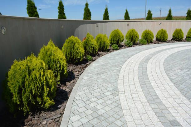 Best Residential Paver Driveway  in Frenchtown, MT